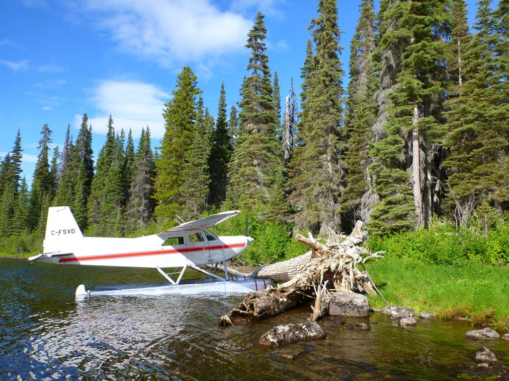 12 smallfloatplane